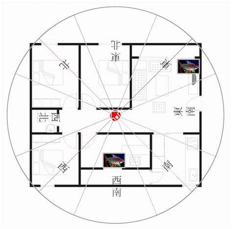 座西南朝東北財位|坐西南朝東北財位佈置